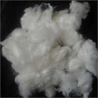 Polyester Fiber