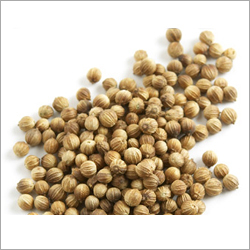 Whole Coriander