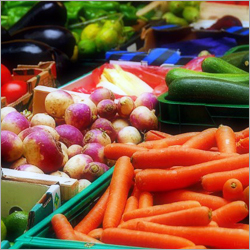 Fresh Vegetables