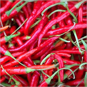 Red Chilli