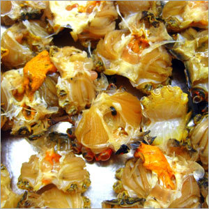 Crabby Delight