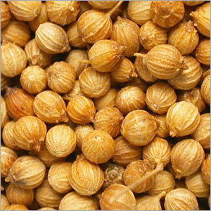 Coriander Seeds