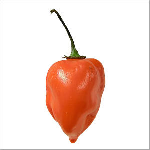 Chili