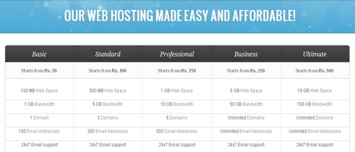 Web Hosting Service
