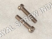 Cheese Head Screw