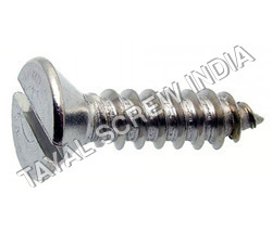 CSK Head Screw