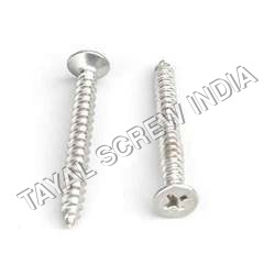 CSK Philips Head Screw
