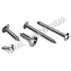 Pan Philips Head Screw