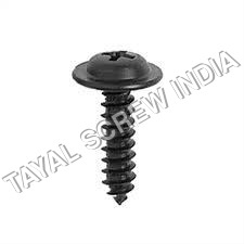 Washer Head Screw