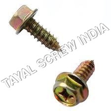Self Tapping Screw