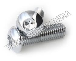 Allen Screw (in SS,MS)
