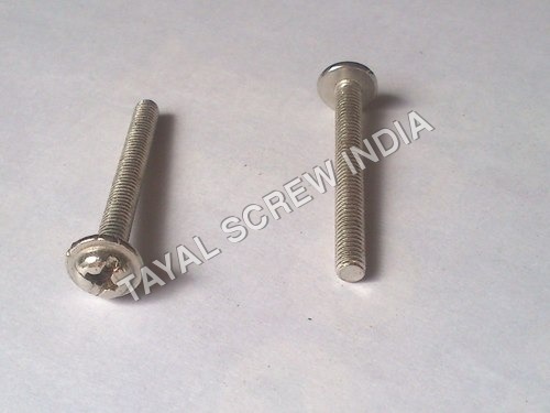 Washer Head Screw