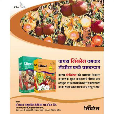 Printed Packaging Material