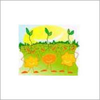 Biofertilizer