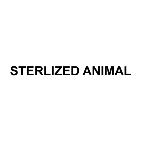 Sterlized Chicken