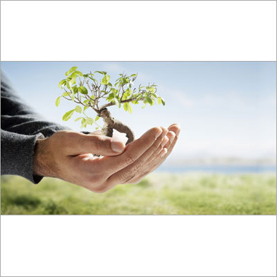 Trading Portfolio Management