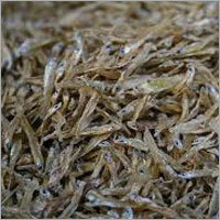 Dried Fish