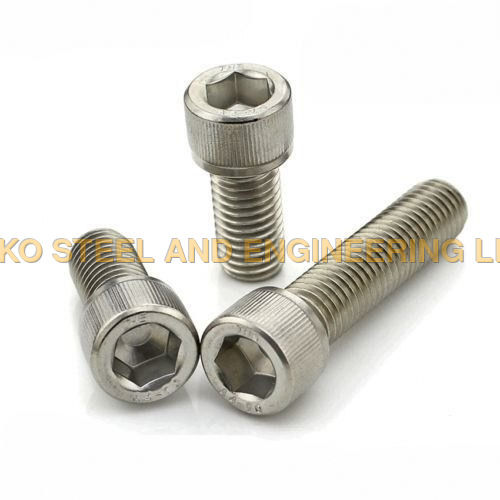 SS Socket Screw