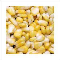 Frozen Sweet Corn
