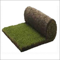 Greenhouse Supplies & Equipment