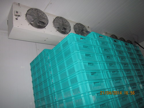 Cold Storage / Ripening Chamber / ware house