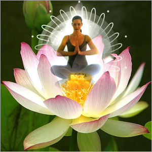 Yoga & Meditation Tours In India