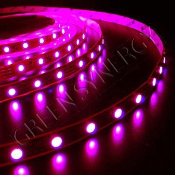 LED ROPE LIGHTS