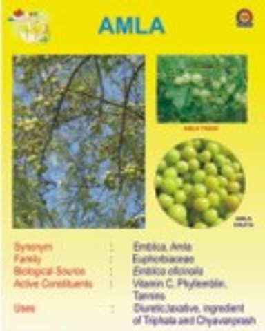 Botanical Charts