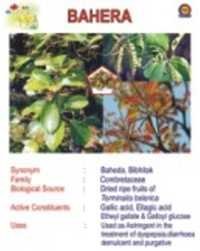 Bahera Information Chart Equipment Materials: Laminated Paper