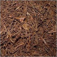 Clove Stems