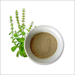 Tulsi