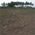 Home Construction Projects