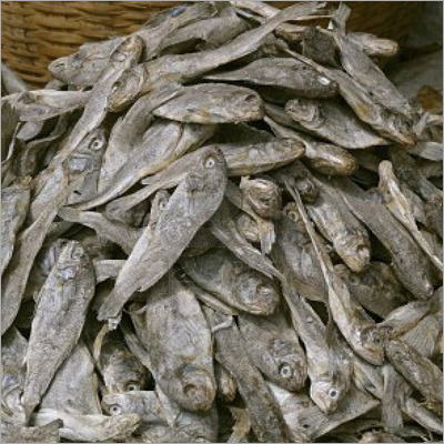 Dry Fish