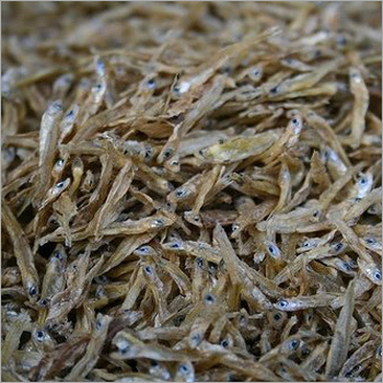 Dry Fish