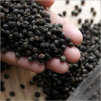 Pepper