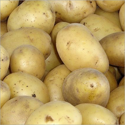 Fresh Potato