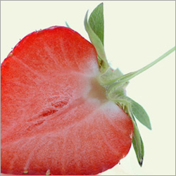 Strawberry Flavor