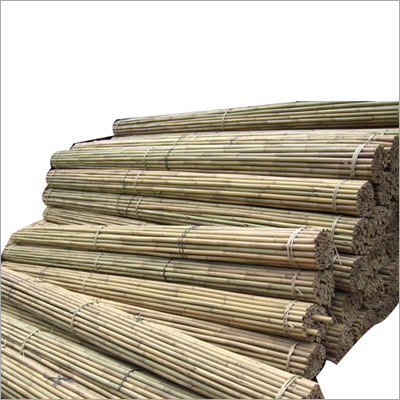 Assam Cane