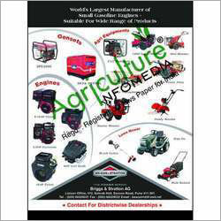 Small Gasoline Engines