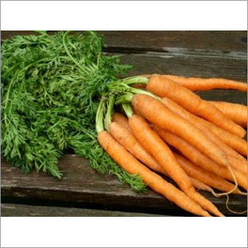 Fresh Preserved Vegetables
