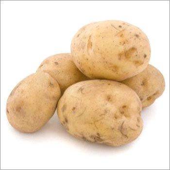 Fresh Preserved Vegetables