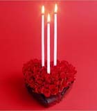 Rose Cake and Candles - Plastic/Paper Base 10cm Wax Candles Red Roses | Romantic Elegant Heart-Shaped