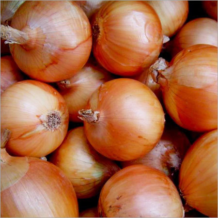Fresh Onion