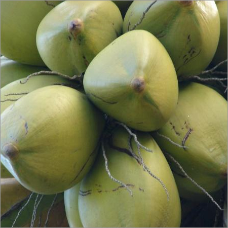 Fresh Coconuts