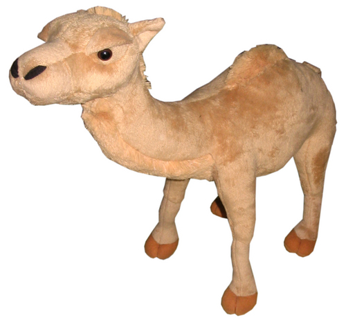 Stuffed Camel
