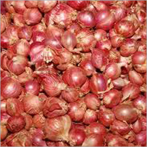 Small Onion