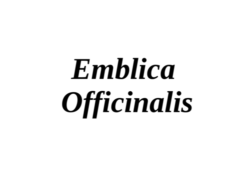 Emblica Officinalis - Fine Powder, Sealed Bags | Rich in Vitamin C, Antioxidant Properties, Supports Health
