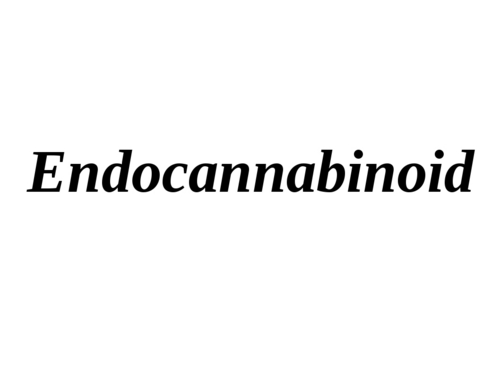 Endocannabinoid