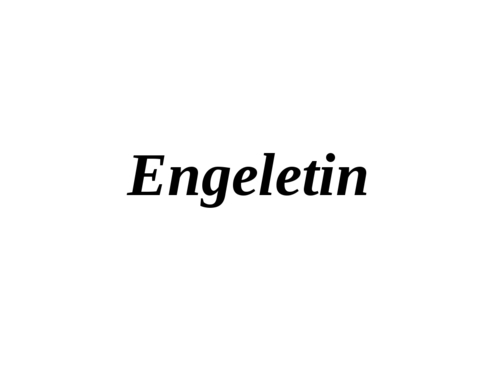 Engeletin - Epdm Rubber, Variable Dimensions, Black | High Strength, Reliable Seal, Corrosion Resistant, 60 Shore A Hardness