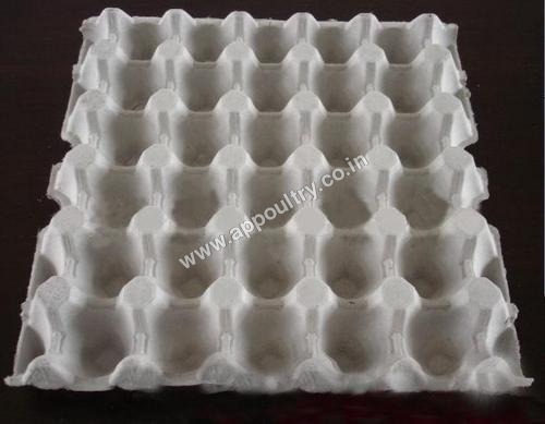 Paper Pulp Egg Tray